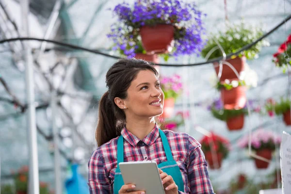 Retrato Una Jardinera Profesional Usando Tableta Invernadero Para Monitorear Plantas — Foto de Stock
