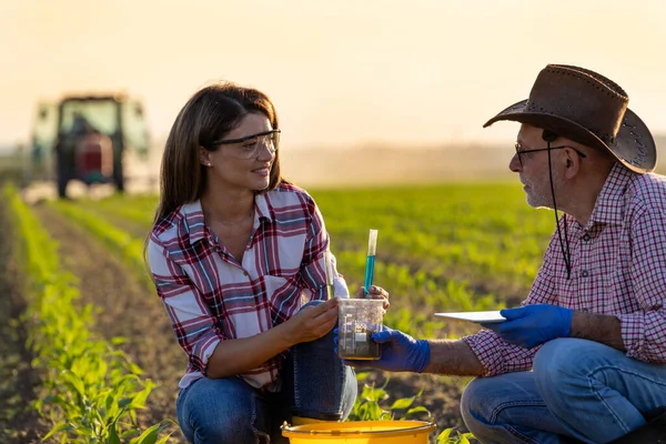 植物保護の概念として春の時間にトウモロコシ畑の土壌中の化学物質を実験する2人の農学者の若い女性と高齢者 背景に働くトラクター — ストック写真