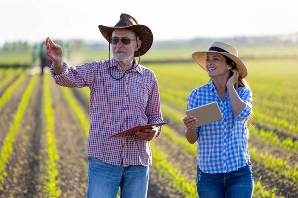 Dwóch Farmerów Młoda Kobieta Starszy Mężczyzna Rozmawiają Polu Soi Wiosną — Zdjęcie stockowe