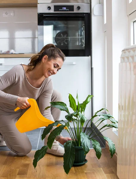 年轻微笑的女人用浇水罐浇灌室内植物 — 图库照片