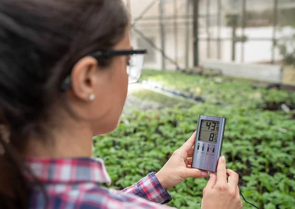 Jardinero Femenino Usando Termómetro Para Medir Temperatura Aire Invernadero — Foto de Stock
