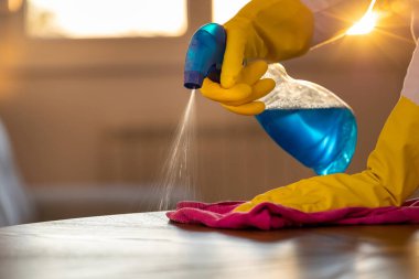 Güneş batarken kadın elinin koruyucu eldivenleriyle spreyleme ve silme masasını kapat.