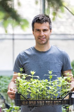 Seradaki saksılarda filizlenmiş plastik sandık taşıyan yakışıklı çiftçinin portresi.