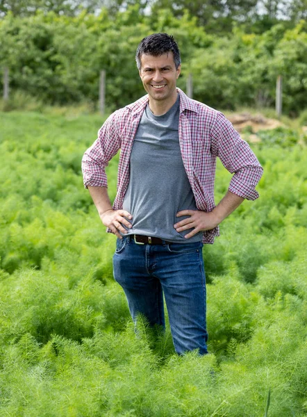 アニーズフィールドに立って植物の成長を監視するハンサムな男農学者 — ストック写真