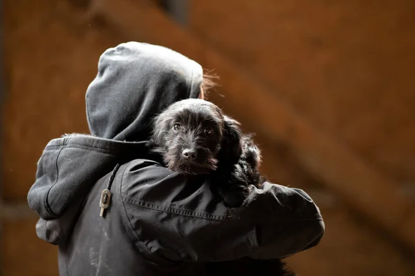 Rear view of man with hood carrying afraid cute dog on shoulder. Animal care and rescuing concept