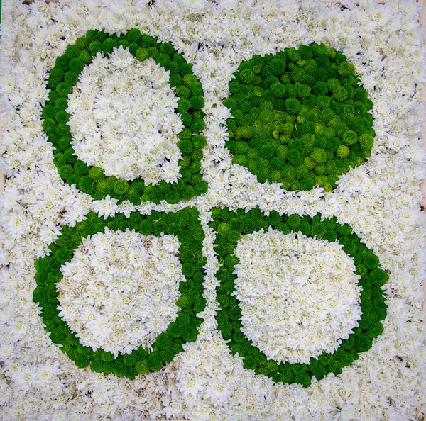 Top View Flowers Plants Arranged Clover Shape Leaves Symbol Fortune — Stockfoto