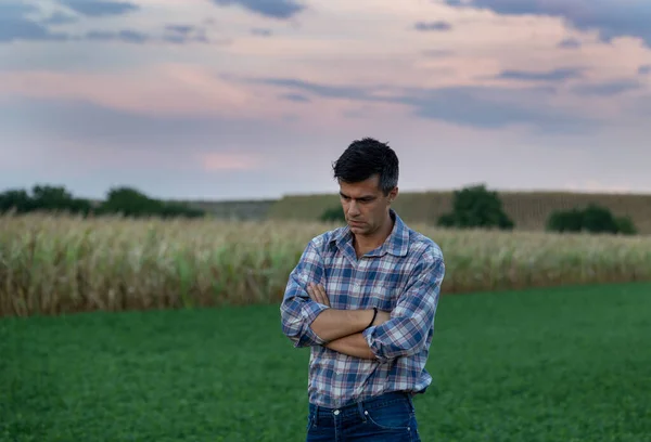 Worried Conceived Farmer Standing Field Dry Season Feeling Unhappy Because — Stock Photo, Image