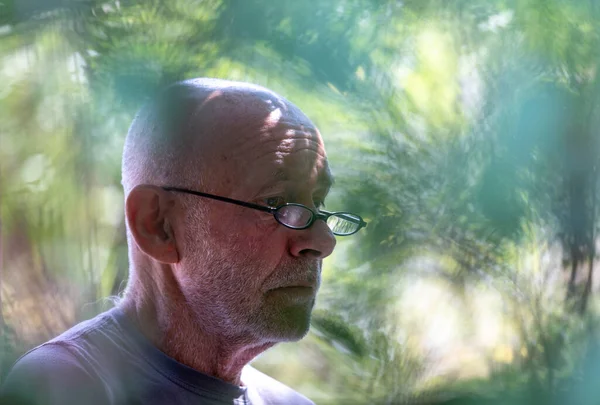 Retrato Hombre Mayor Calvo Con Barba Gris Gafas Lectura Naturaleza — Foto de Stock