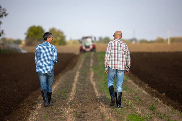 两个成熟的农民在田里走来走去 一边说着话 一边用拖拉机在后面干活的后视镜 — 图库照片