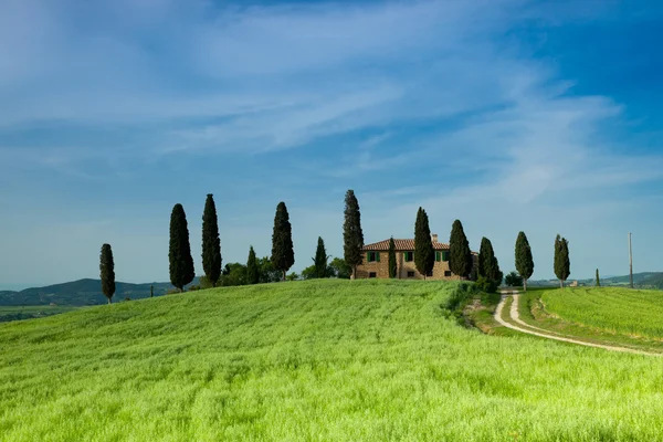 Platteland, pienza, Toscane, Italië Rechtenvrije Stockfoto's