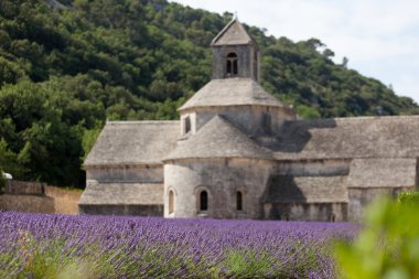 Abbey Senanque