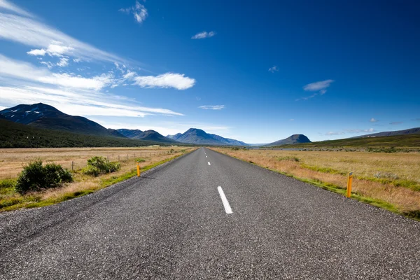 Road, östra Island — Stockfoto