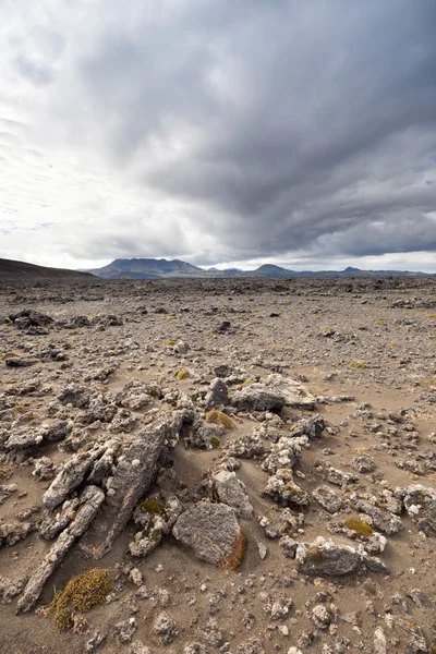 Dans la nature en Islande — Photo