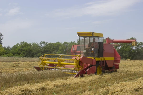 Harvesting combine in the field 3 — Stock Photo, Image