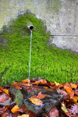 Clean fresh water from water source with green moss clipart