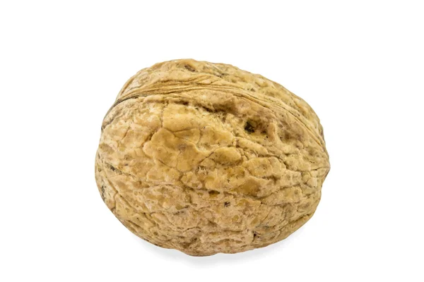 Brain Food, walnut — Stock Photo, Image