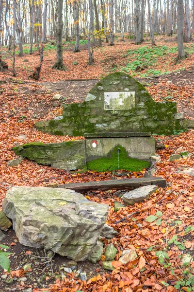 Čisté pitné vody z vodního zdroje v lese 2 — Stock fotografie