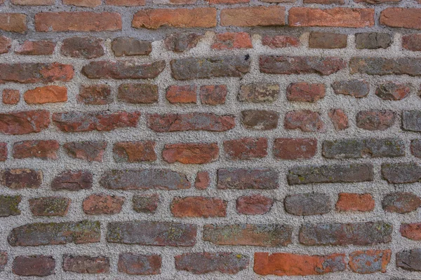 Mossa på gamla tegelstenar murbruk vägg — Stockfoto