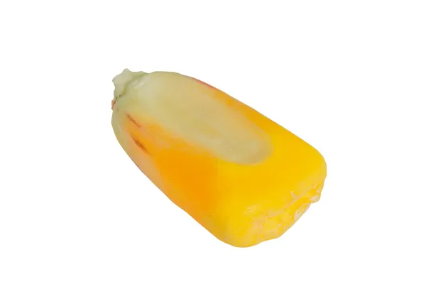 Single grain of corn — Stock Photo, Image