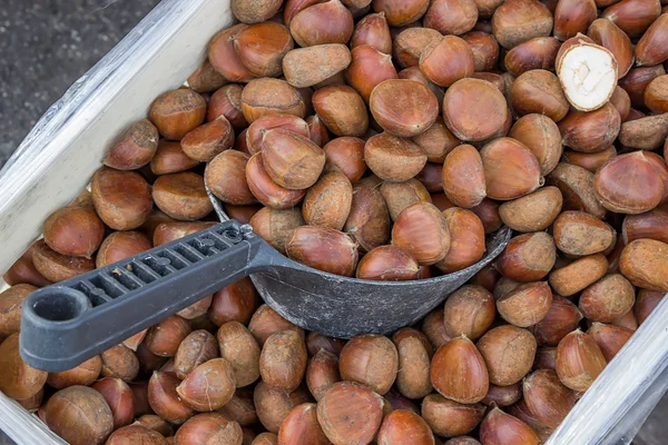 Güzel kestane Çiftçi Market 2 — Stok fotoğraf