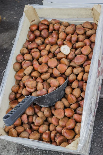 Mooie kastanje op boerenmarkt — Stockfoto