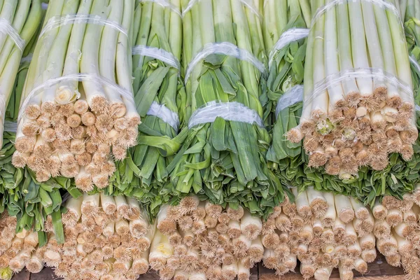 Fechar de um bando fresco de alho-porro no mercado de agricultores, Allium a — Fotografia de Stock