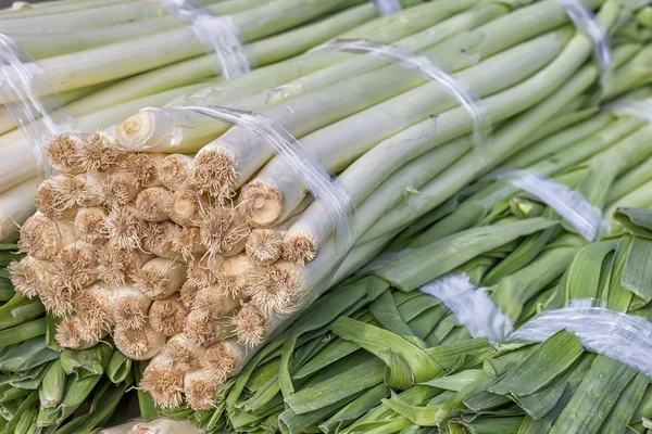 Fechar de um bando fresco de alho-porro no mercado de agricultores, Allium a — Fotografia de Stock