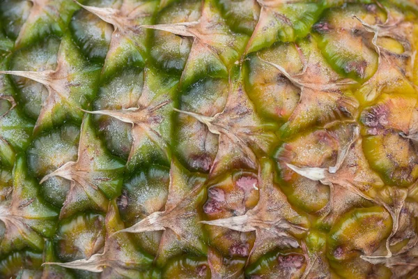Closeup of a pineapple skin background — Stock Photo, Image