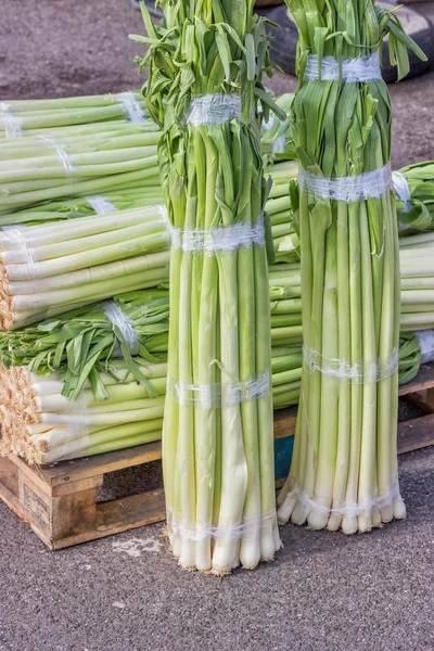 Closeup of a fresh bunch of leek at the farmers market, Allium a — Stock Photo, Image