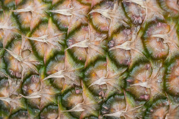 Closeup of a pineapple skin background 2 — Stock Photo, Image