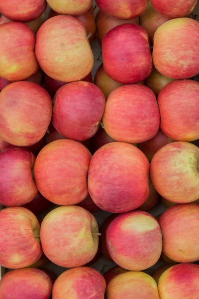 Organic red and yellow apples at crate background — Stock Photo, Image