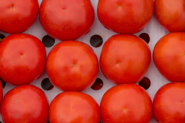 Madure tomates orgánicos en cajas de cartón bien ventiladas y abiertas —  Fotos de Stock