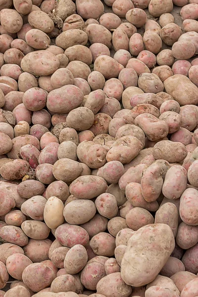 Pilha de fundo de batatas — Fotografia de Stock