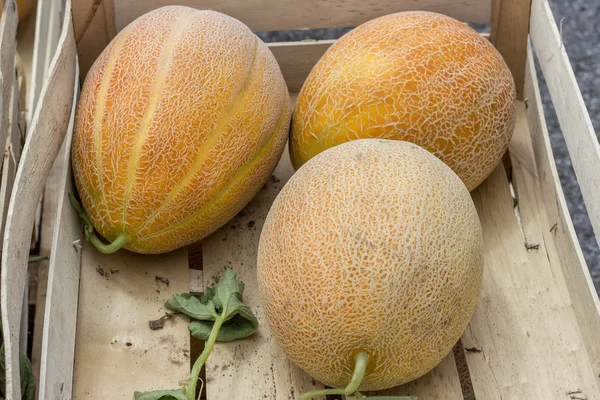 Farmers market and three melons in a wooden crate — Stock Photo, Image