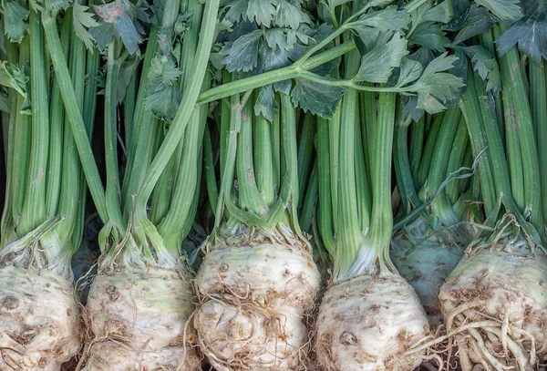 Farmářský trh celer pozadí — Stock fotografie