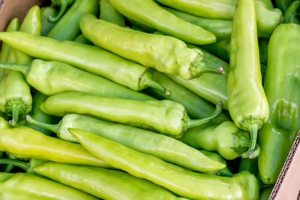 Farmers market green pepper in a crate — Stock Photo, Image