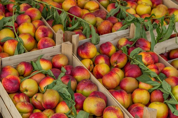 Farmářský trh nektarinky v dřevěných bednách — Stock fotografie