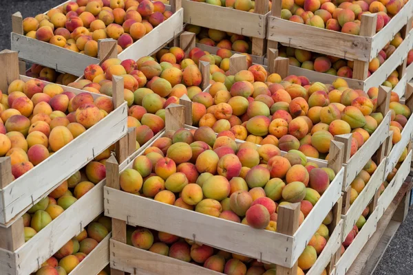 Farmářský trh organické meruňky v dřevěných bedničkách 2 — Stock fotografie