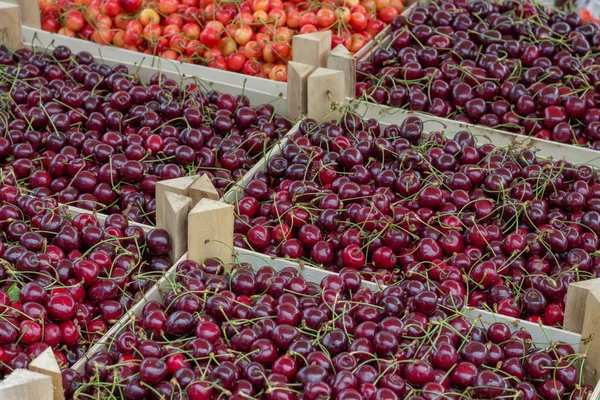 Farmers market organic cherrys in a wooden crates — Stock Photo, Image