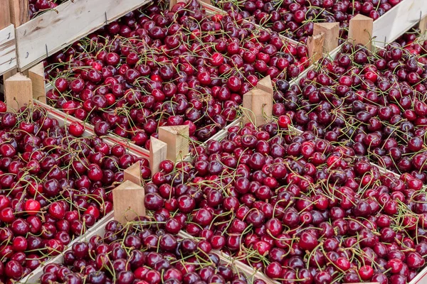 Mezőgazdasági termelők piaci bio meggy egy 3 ládákban — Stock Fotó