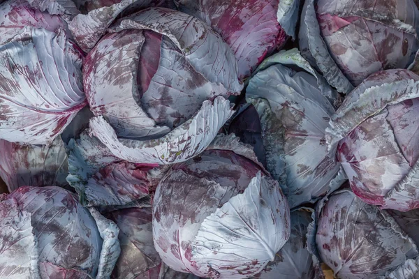 Рынок красной капусты — стоковое фото