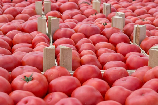 Mercato contadino del pomodoro in casse di legno — Foto Stock