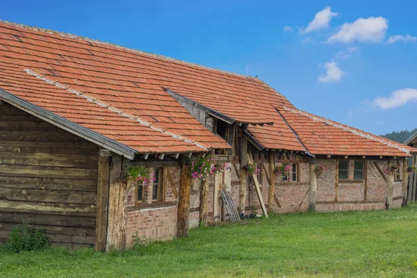 Pajta farm állatok, virágok — Stock Fotó