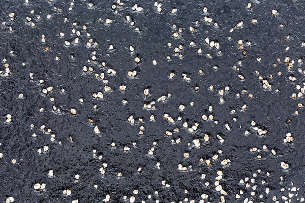 Asfalt Trottoar Med Grus Bakgrund Asfalt Trottoar Med Rullande Och — Stockfoto