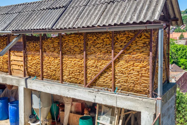 納屋の倉庫のトウモロコシだ 黄色のトウモロコシで満たされたワイヤーメッシュコーンストレージビン — ストック写真