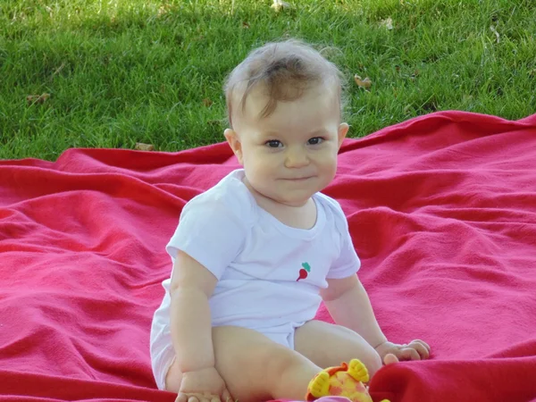 Bambino ragazzo sul picnic . — Foto Stock