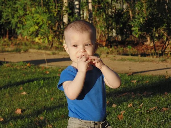 Baby boy in the evening park. — Stock Photo, Image