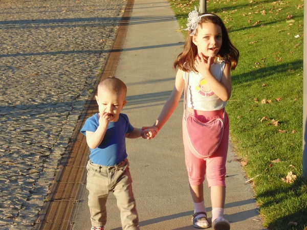 Sister and brother in the evening park N1. — Stock Photo, Image