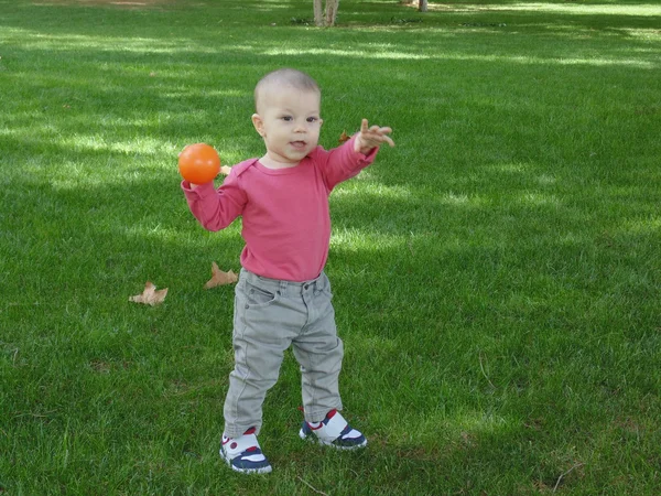 Baby boy och natur n9. — Stockfoto