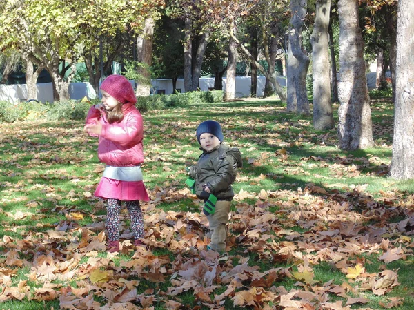 Sister and brother in autumn park N 14. — Stock Photo, Image